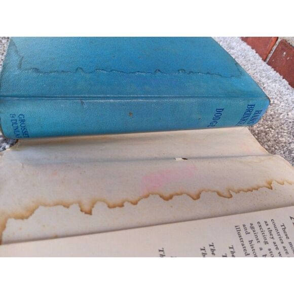 Hans Brinker or the Silver Skates (A Story of Life in Holland) With Dust Jacket - Picture 12 of 13